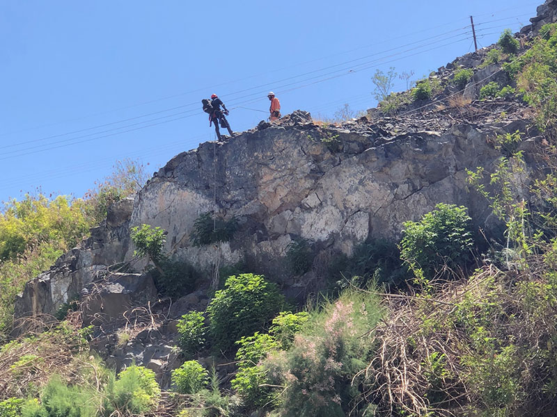 Bush Clearing on High Wall